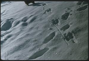 Footsteps in the snow