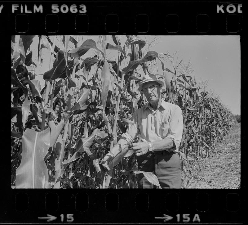 Albert Elwell in a field with corn