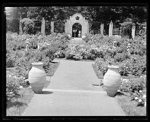 Rose garden, Franklin Park
