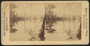 Silver Spring, Ocklawaha River