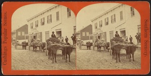 Oxen pulling loads through an unidentified town