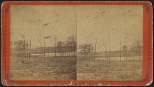View of land, some bare trees, and a body of water in an unidentified place in Florida