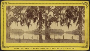 Mouth of the Ocklawha River, Florida