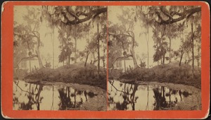 Unidentified body of water, with trees in midground along the water's edge