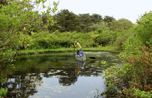 Pimpneymouse Pond - Coring