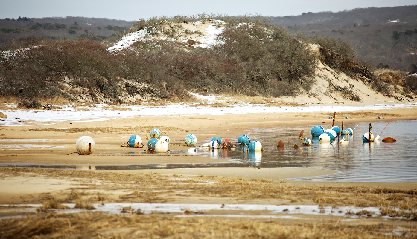 Menemsha Pond Buoys