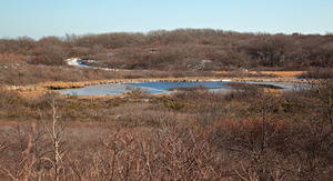 Red Gate Farm - Pond