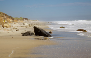 Red Gate Farm - Squibnocket Beach