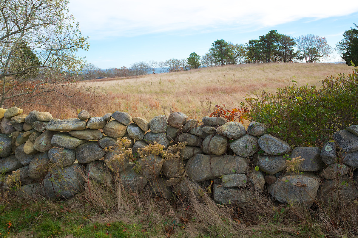 Allen Farm - Back Pasture - Digital Commonwealth