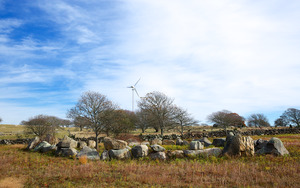 Edey Farm - Stone Circle