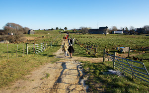 Allen Farm - Vineyard Conservation Society Winter Walk