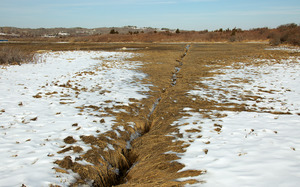 Ditched salt marsh off Chocker's Lane