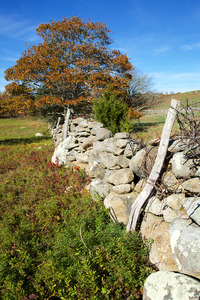 Stonewall between Eddy and Allen farms