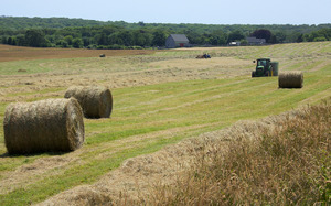 Keith Farm - Haying