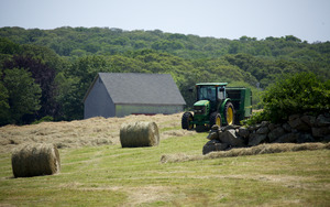 Keith Farm - Haying