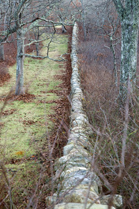 Stonewall along North Ridge Road