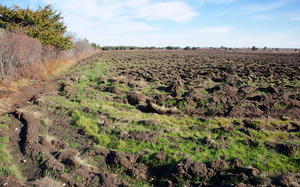 Freshly plowed field