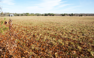 Whiting Farm