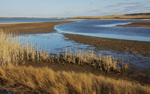 Quansoo - Tisbury Great Pond