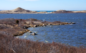Dune and Barrier Beach - Squibnocket Pond