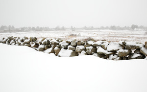 Squibnocket Ridge - snow covered stonewall