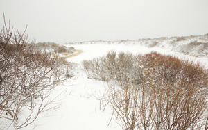 Squibnocket Pond in snow