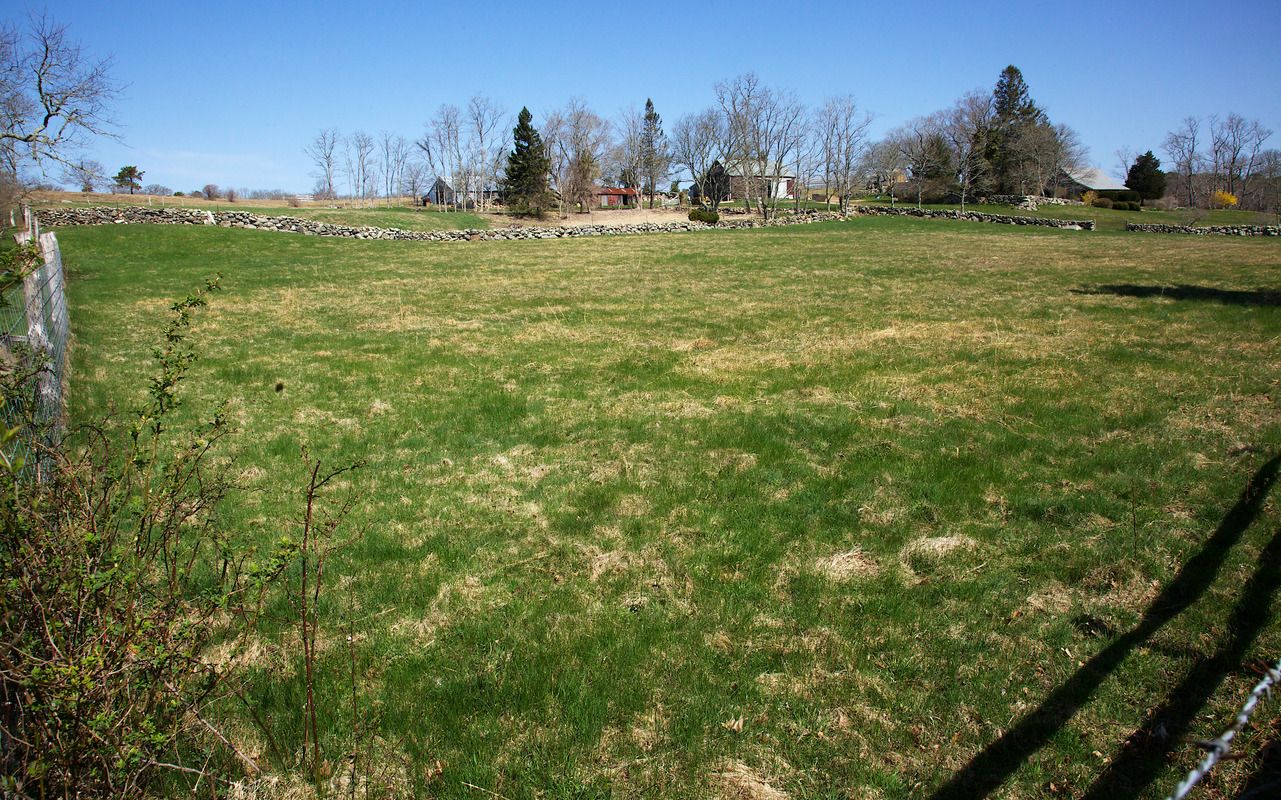 Tea Lane Farm