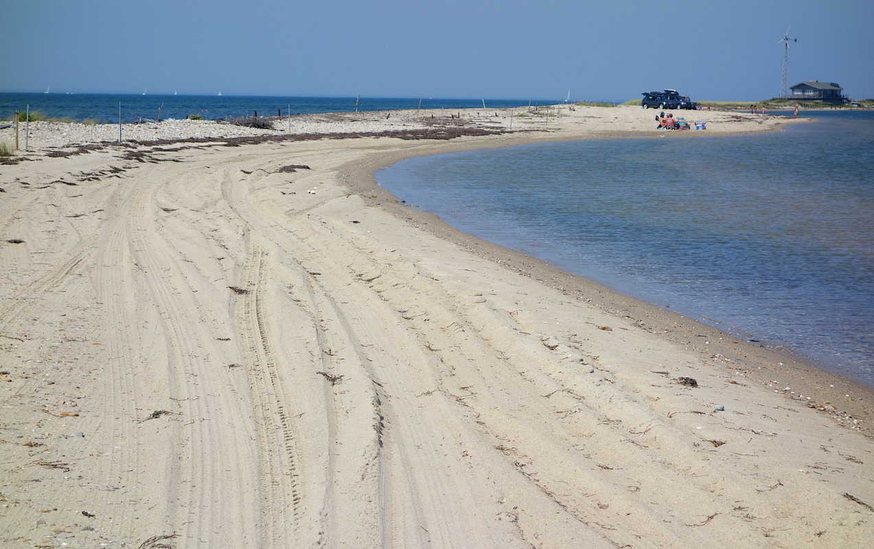 Cape Poge car tracks