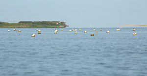 Buoys and the Wasque Breach