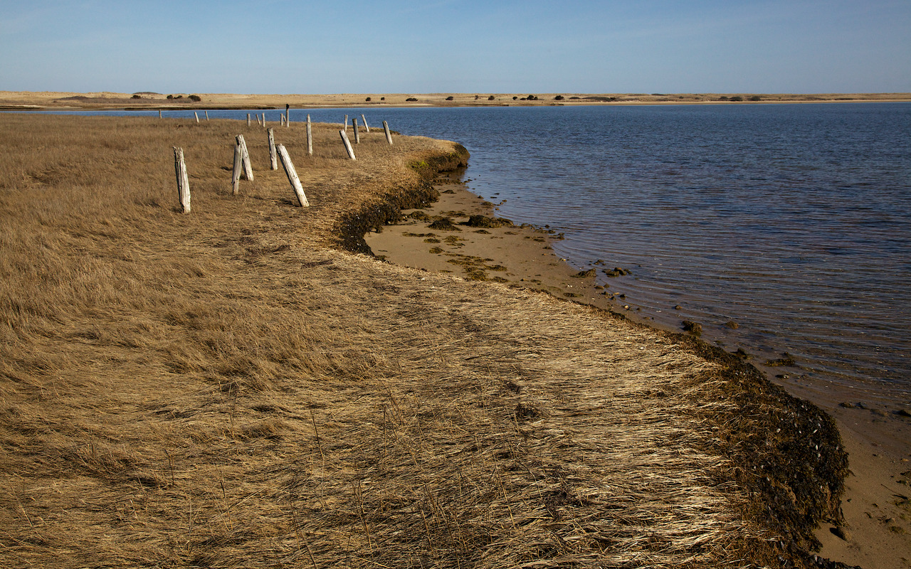 Poucha Pond Marsh - Remnants of Welch Duck Blind