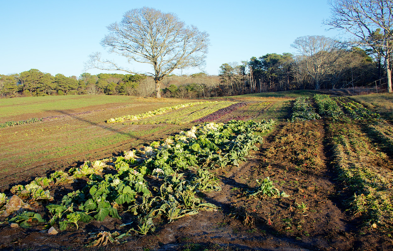 Slip Away Farm Digital Commonwealth