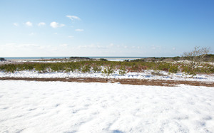 Wasque - Snow Covered Field