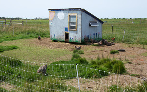 Katama Farm - The Farm Institute chicken coop