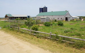 Katama Farm - The Farm Institute
