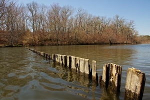 Edgartown Great Pond - - Wintucket Cove - Fence