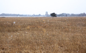 Herring Creek Farm