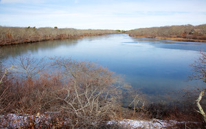 Jobs Neck Pond - West Side