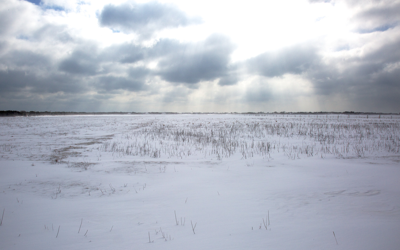 Katama Farm - The Farm Institute field in winter