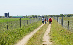 Katama Farm - The Farm Institute - Edey Foundation walk