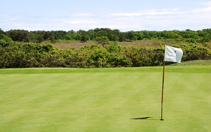 Vineyard Golf Club - Scrub Oak in Back