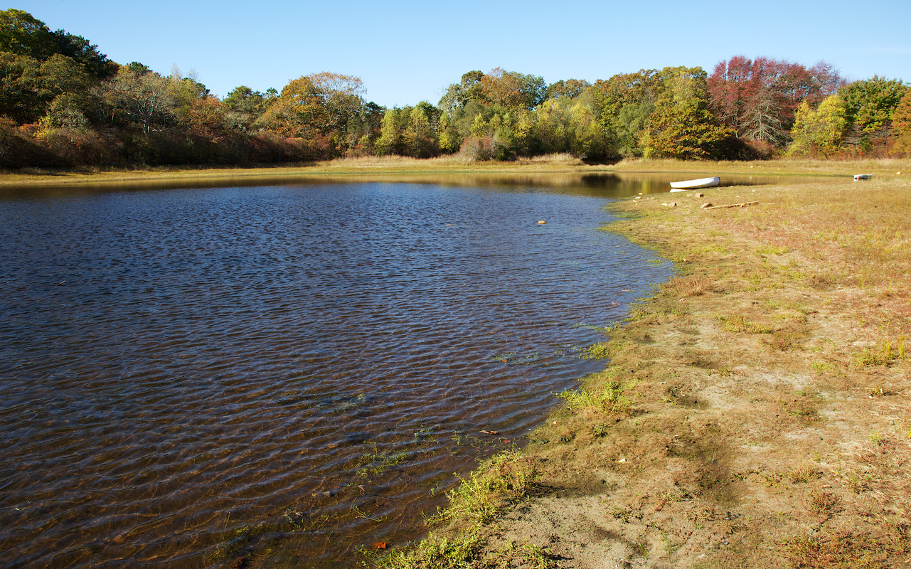 Duarte Pond - Dry Summer - Beetlebung in drainage