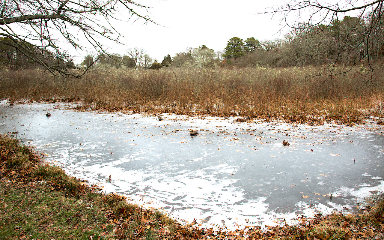 Ben Luce Pond - Coring Site