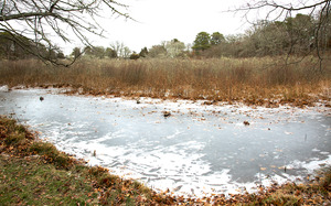 Ben Luce Pond - Coring Site