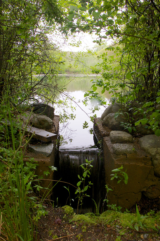 Bog House Road - Pond - Dam