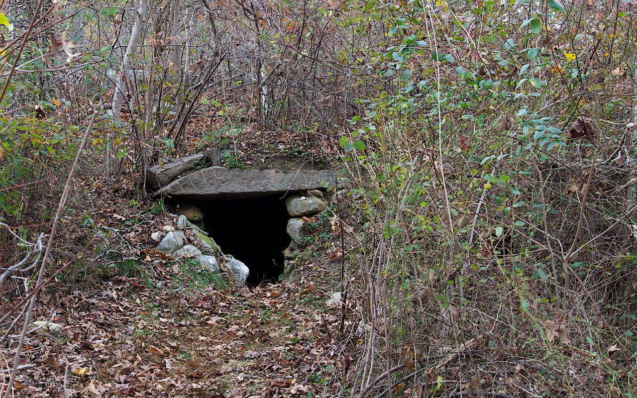 Christiantown Reserve - Root Cellar