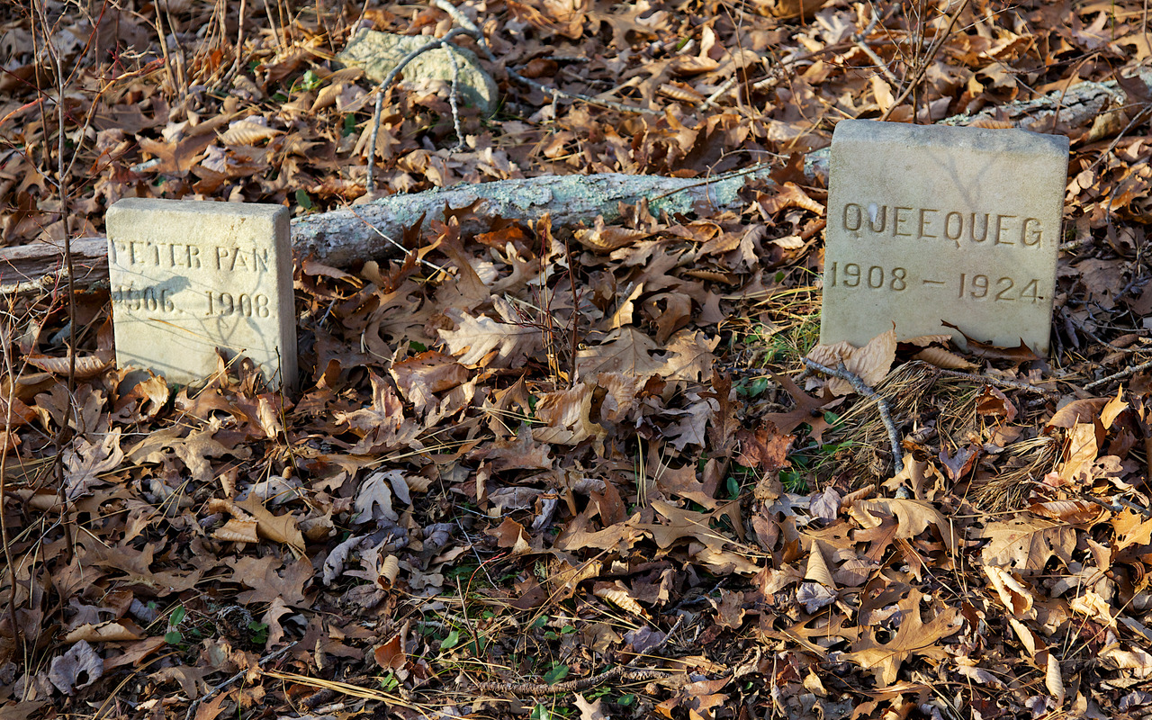 Fish Hook - Henry Bettle Hough - cf. Dog Cemetery