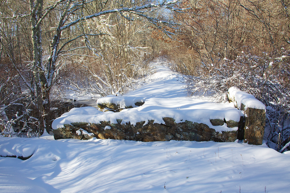 Mill Brook - Upstream - Dam between Crocker Pond and Fisher Pond