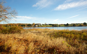 Tisbury Great Pond - Carl's Way