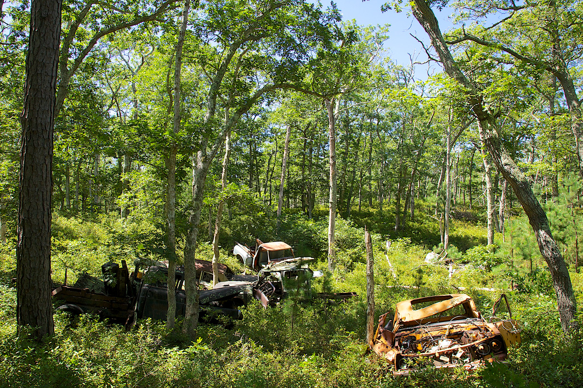 Trail to Wapatequa - Junk Cars