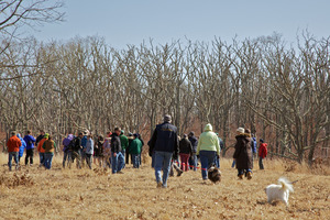 Woods Reserve - Dead Oaks - Vineyard Conservation Society walk
